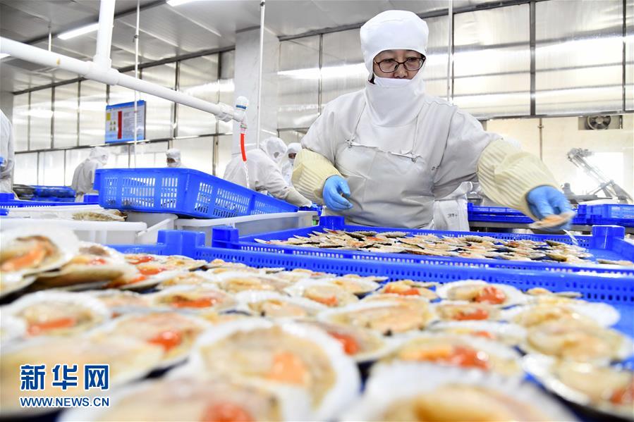 積極發展海洋食品加工產業，構建全產業鏈協同發展新格局