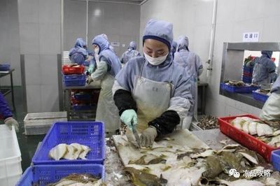 俄羅斯原料主導未來？琿春海產加工業迎來新動力